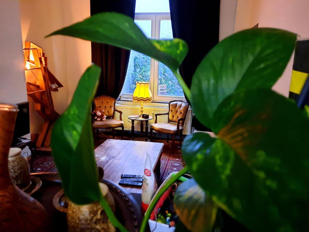 Appartement Ambiance Chalet เลียจ ภายนอก รูปภาพ